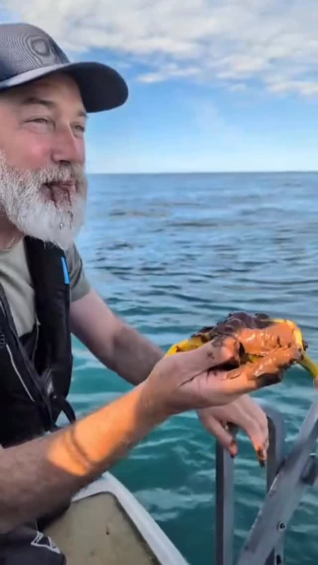 Post 2 by Ross Edgley on Instagram (video)