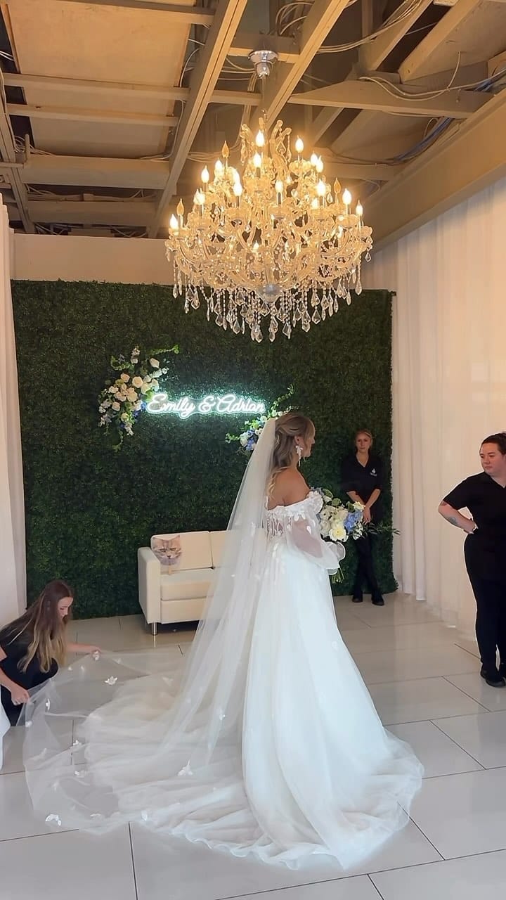 Post 10 by The Gala 417 on Instagram (video)