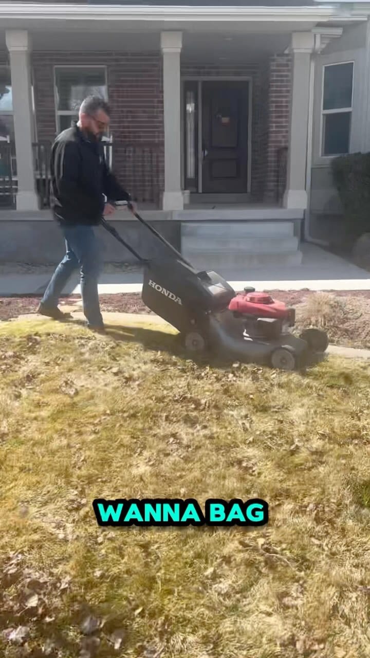 Post 10 by Holmes Lawn & Pest on Instagram (video)