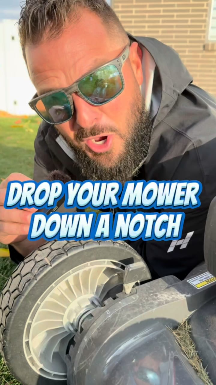 Post 6 by Holmes Lawn & Pest on Instagram (video)