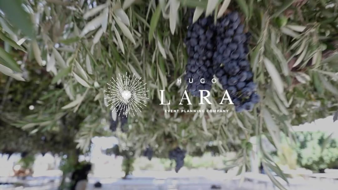 Post 10 by Hugo Lara on Instagram (video)