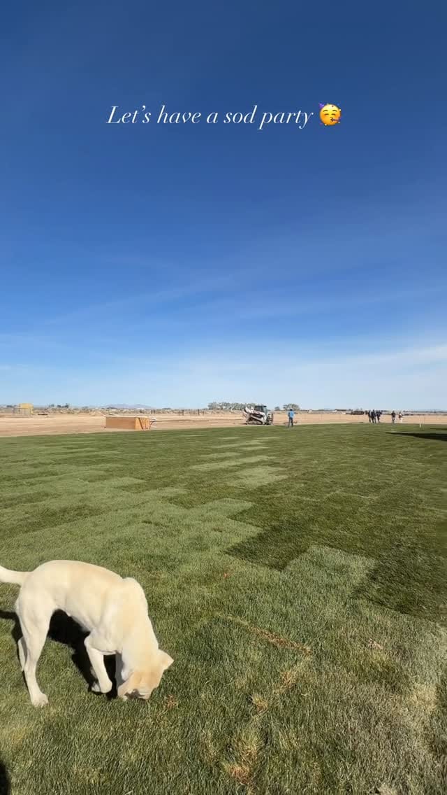 Post 5 by Courtney Dyer on Instagram (video)