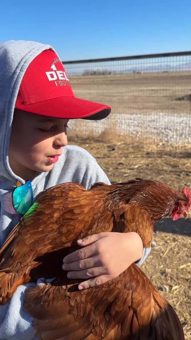 Post 3 by Courtney Dyer on Instagram (video)