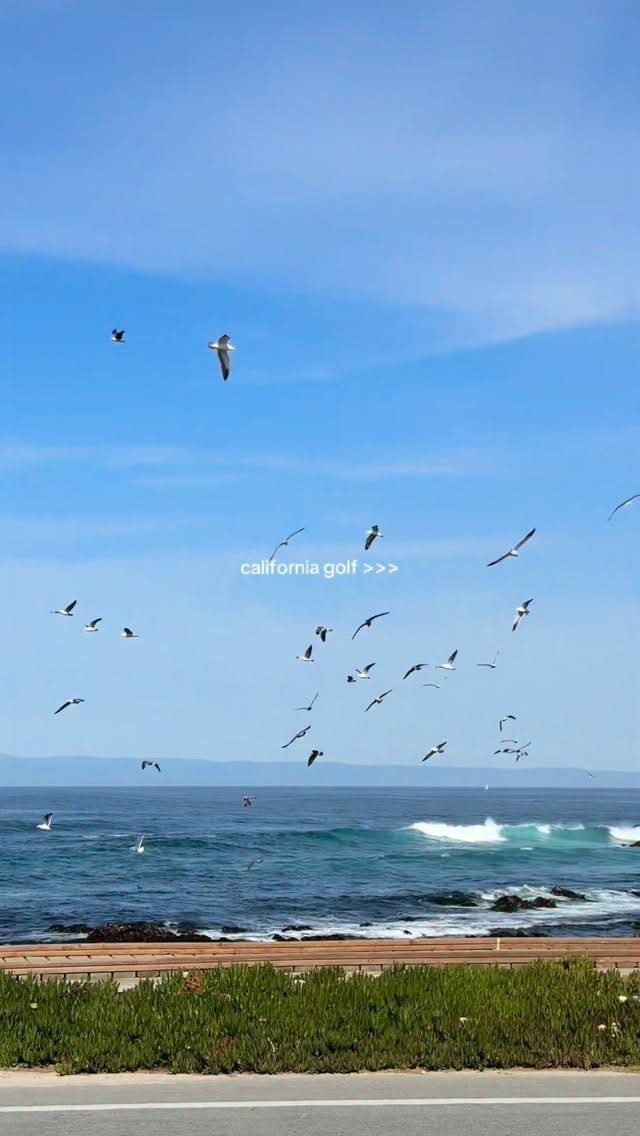 Post 3 by Lizzi Greer on Instagram (video)