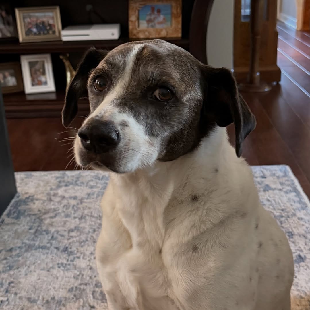 Post 1 by Chris and Tyler on Instagram (image)
