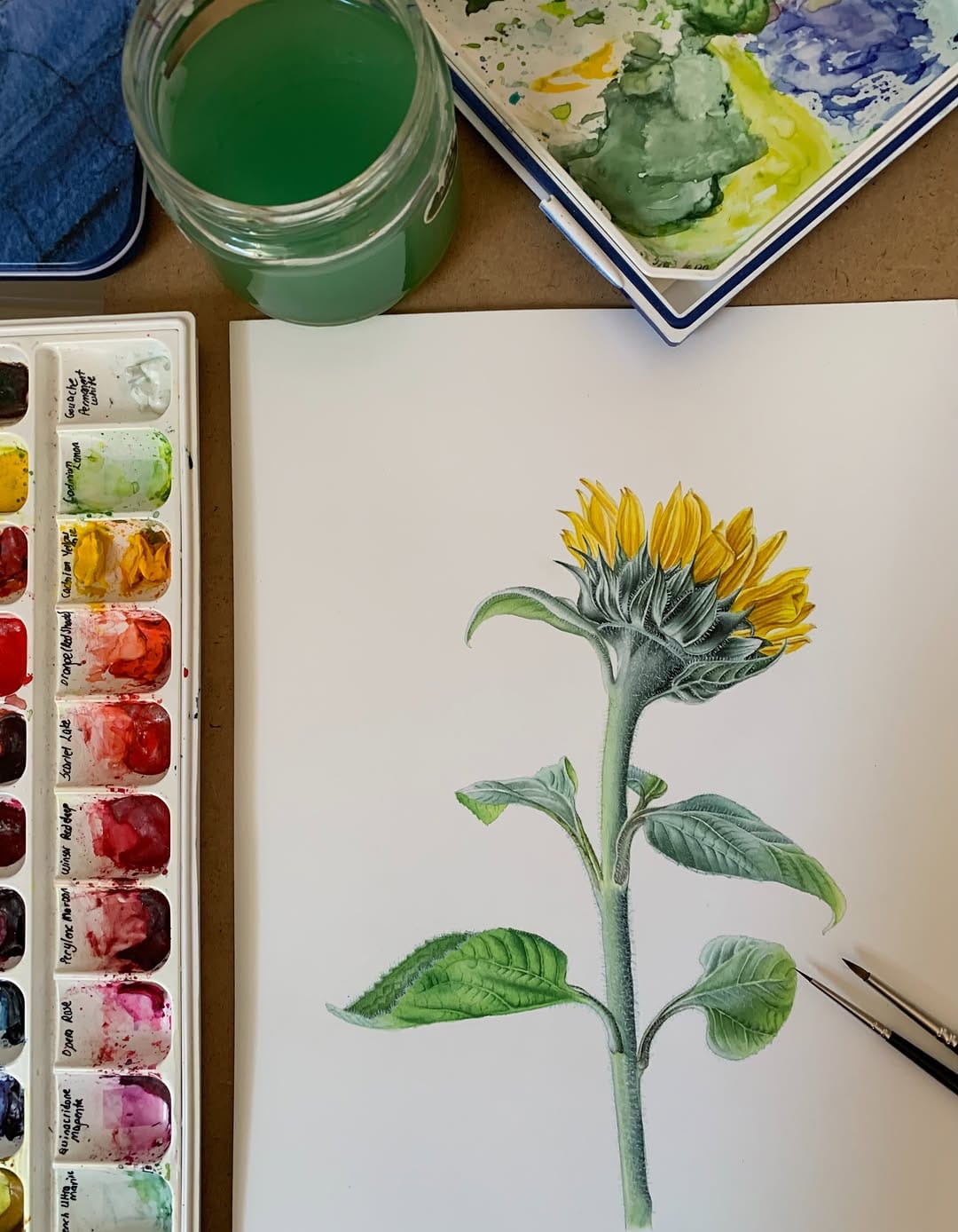 Post 3 by Serap Keser 🎨🌿/ 📍Istanbul on Instagram (image)