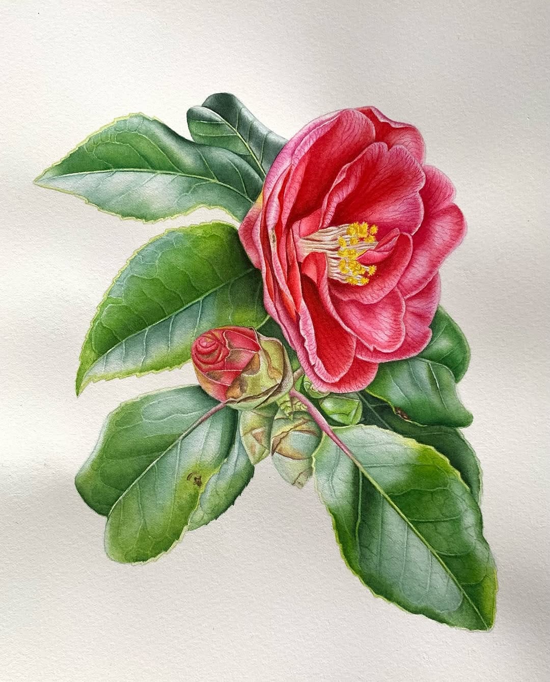 Post 9 by Serap Keser 🎨🌿/ 📍Istanbul on Instagram (carousel)