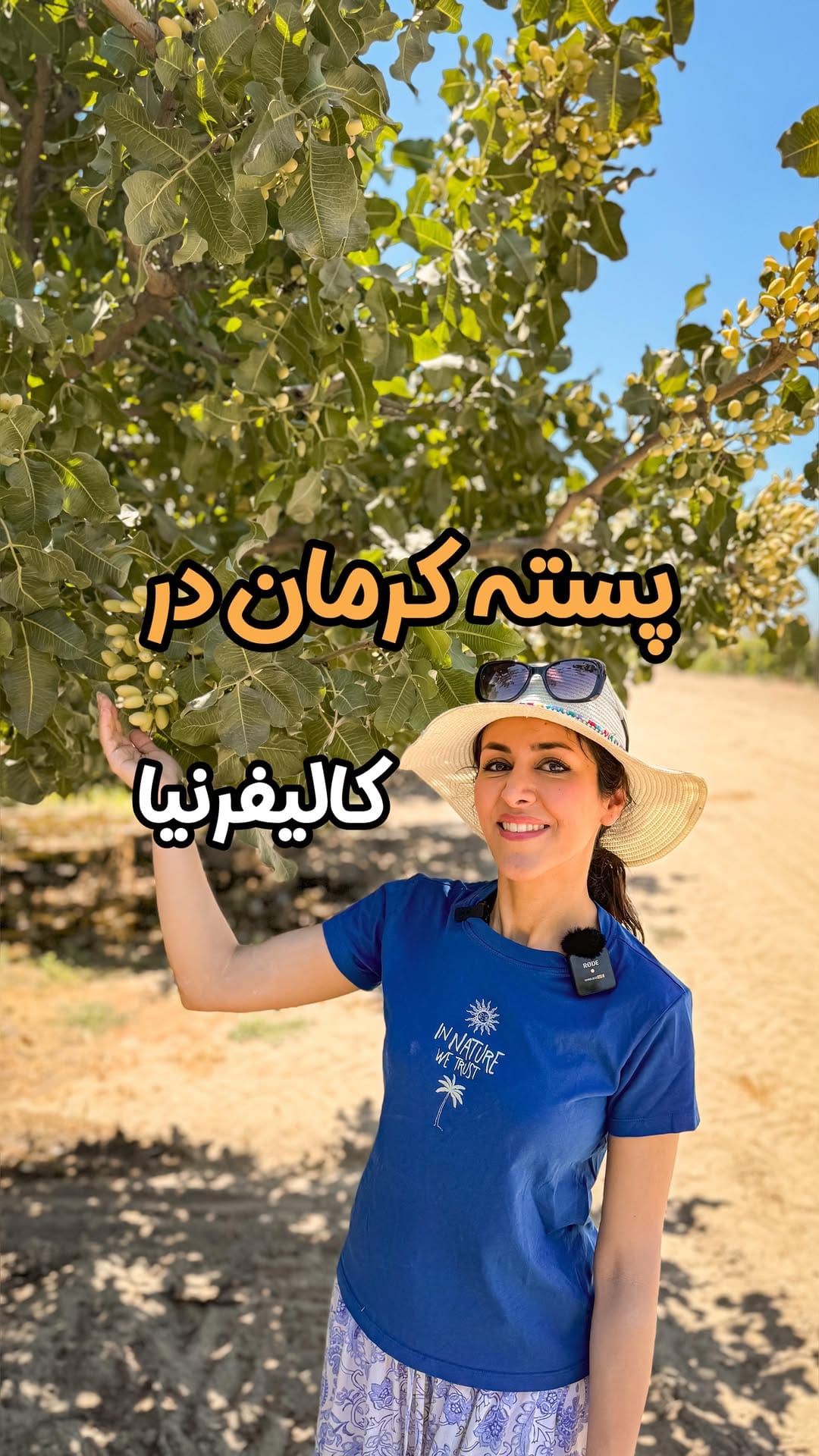 Post 8 by Maryam khosroanjam on Instagram (video)