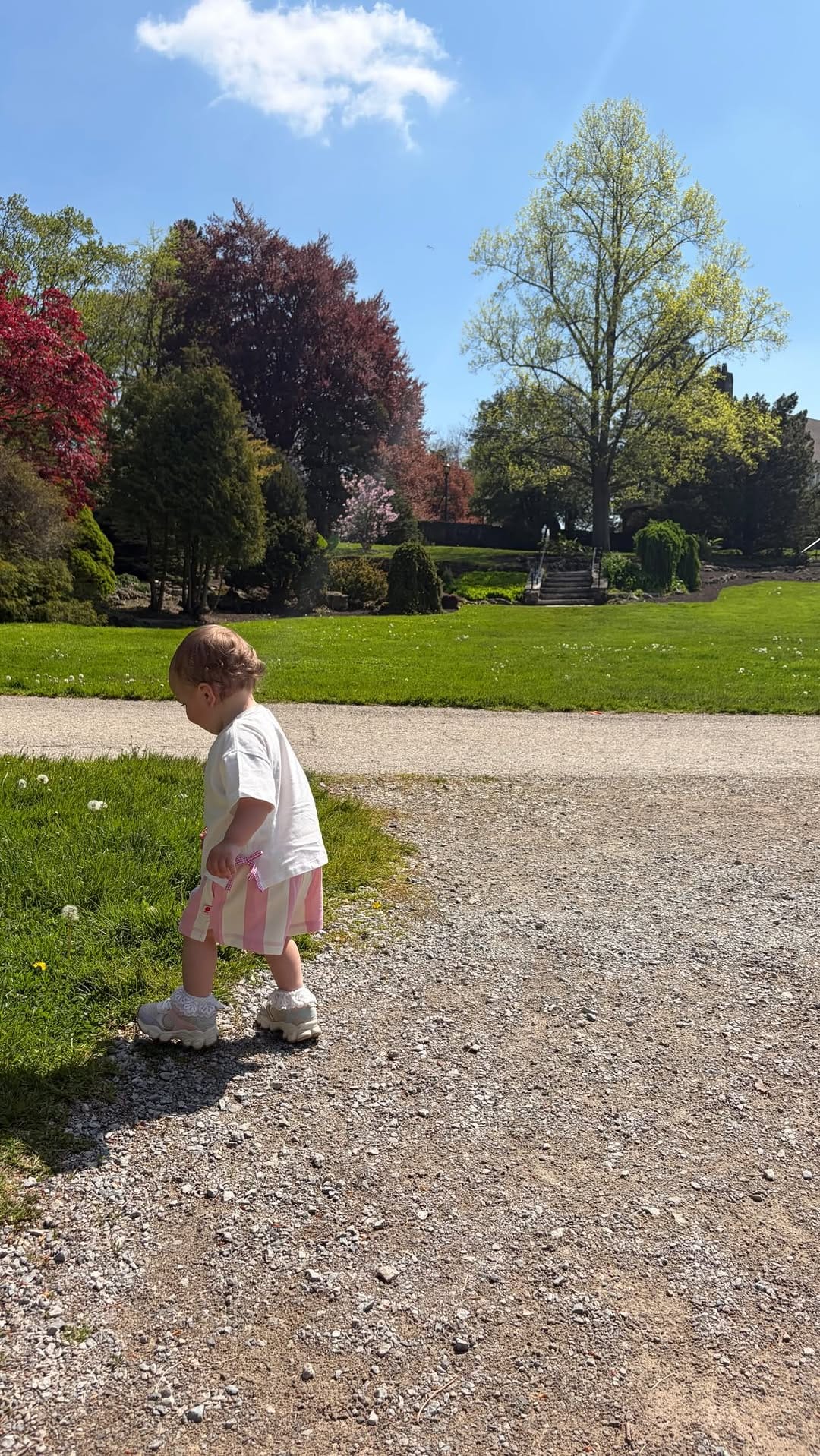 Post 5 by Nicole Marie on Instagram (video)