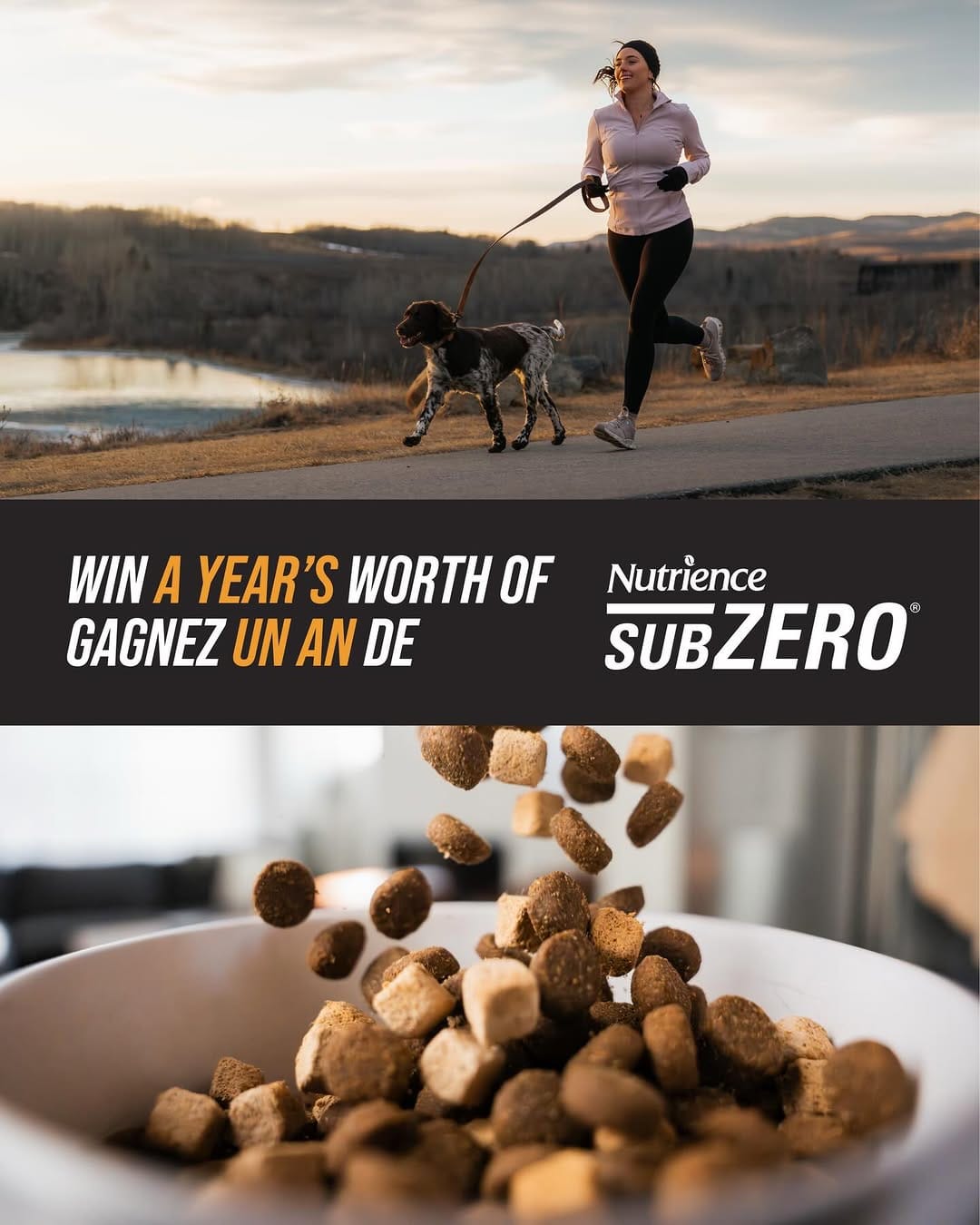 Post 10 by Nutrience on Instagram (image)