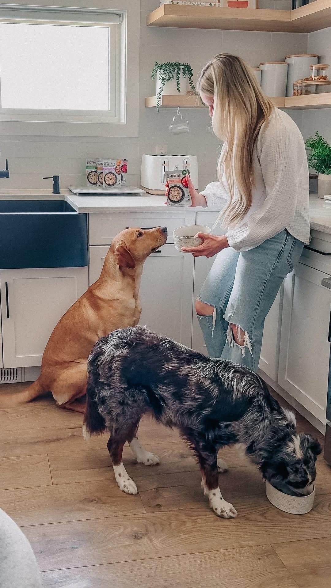 Post 8 by Nutrience on Instagram (video)