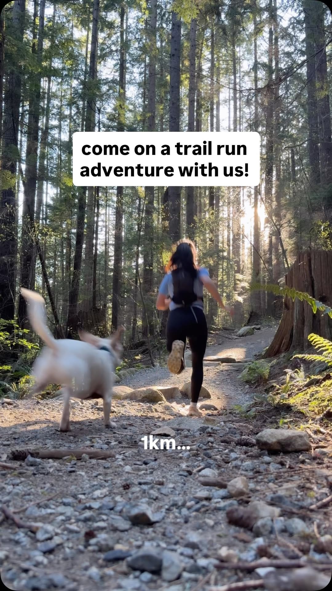 Post 9 by Nutrience on Instagram (video)