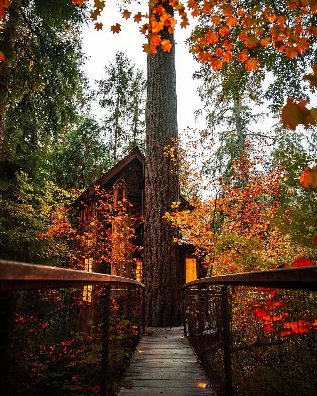 Post 8 by Connor Scalbom | Travel Photographer | Videographer on Instagram (carousel)