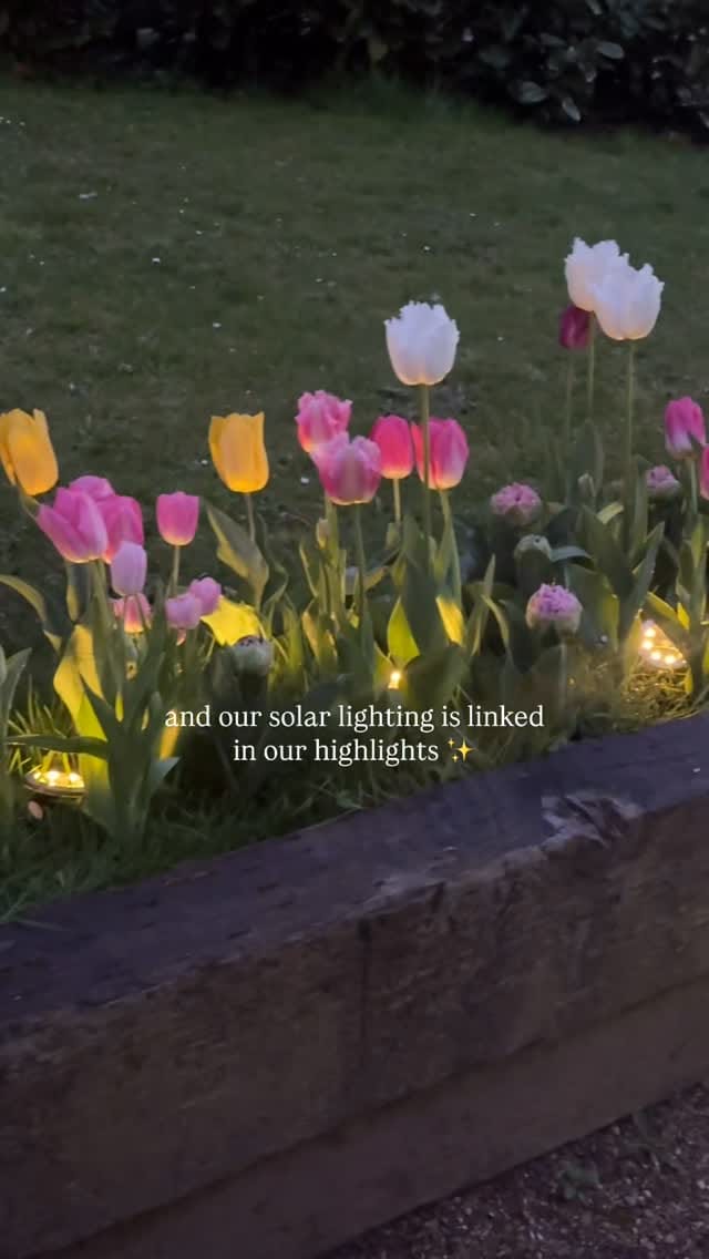 Post 1 by Paul & Jane on Instagram (video)