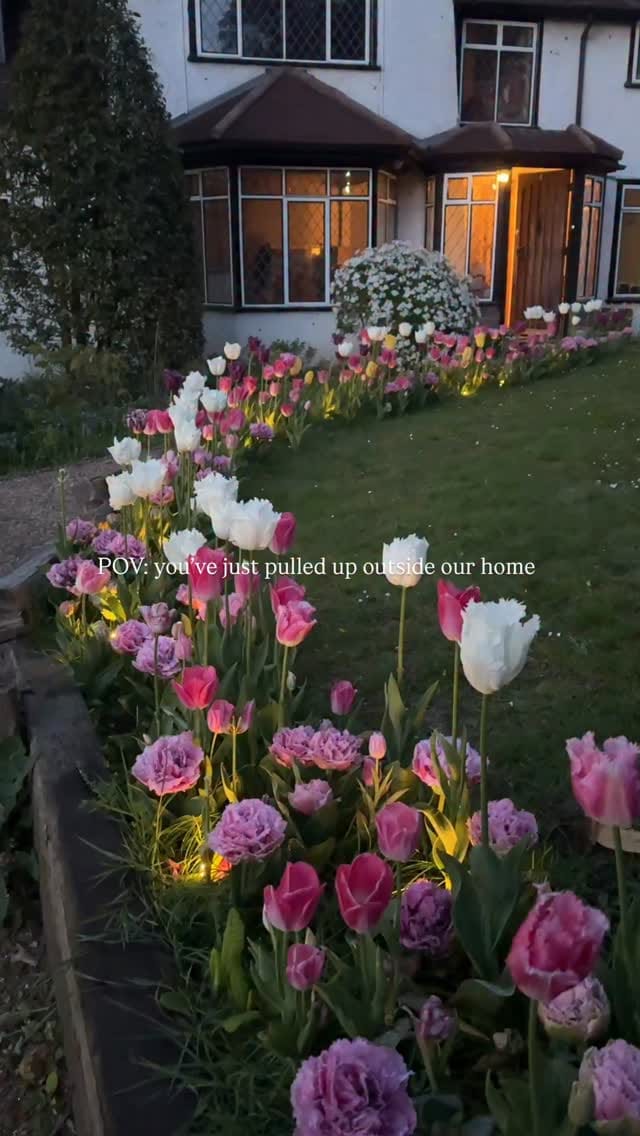 Post 8 by Paul & Jane on Instagram (video)