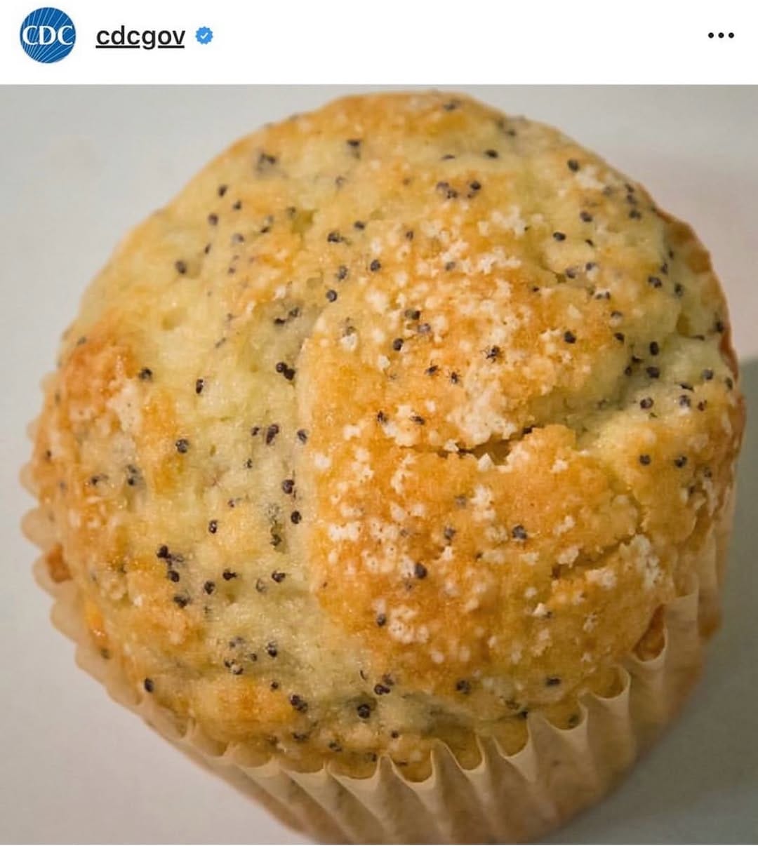 Post 2 by ﮼دکتر‌وهاب‌قنبری -متخصص‌ بیماریهای‌ نوزادان،‌ کودکان on Instagram (image)
