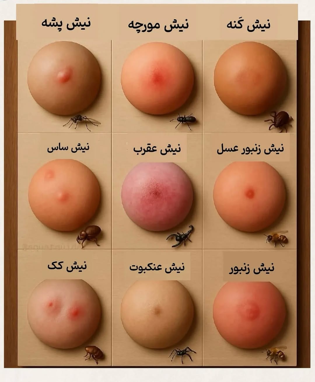 Post 6 by ﮼دکتر‌وهاب‌قنبری -متخصص‌ بیماریهای‌ نوزادان،‌ کودکان on Instagram (image)