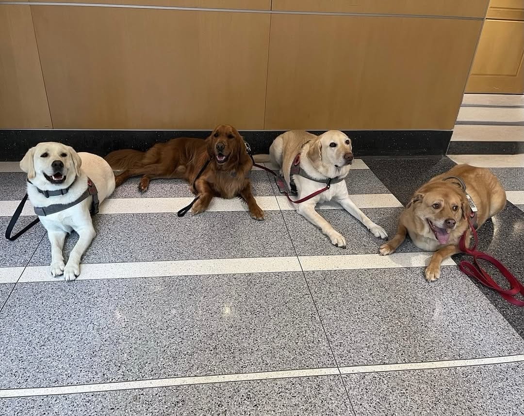 Post 1 by BuckeyePaws™️ on Instagram (image)