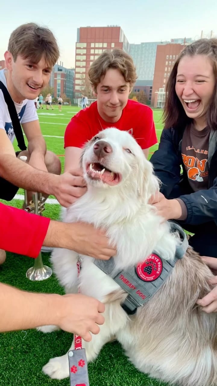 Post 9 by BuckeyePaws™️ on Instagram (video)
