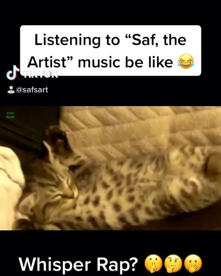 Post 10 by Saf on Instagram (video)