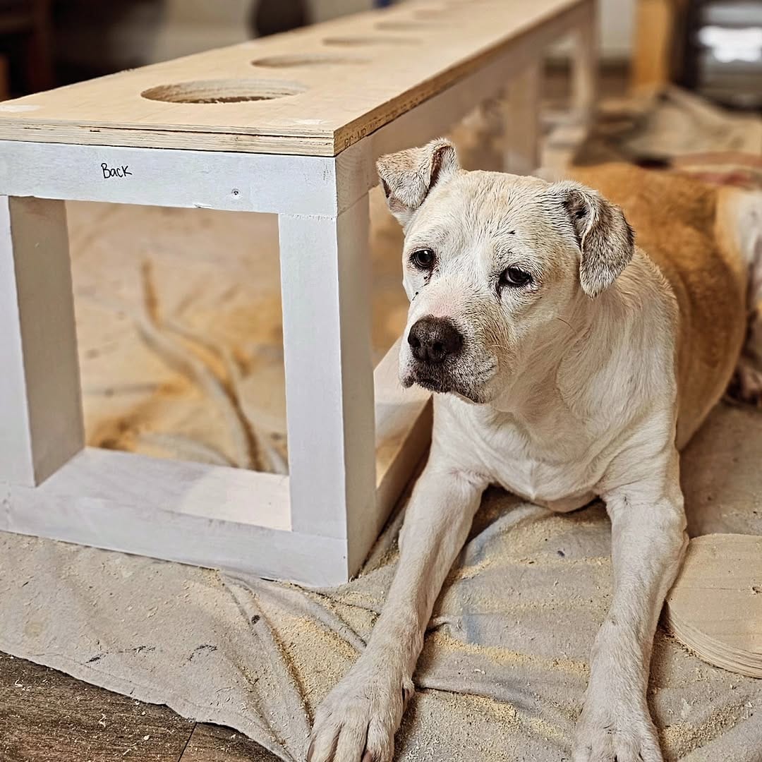 Post 4 by Restoration Rehab LLC | Cabinet & Furniture Makeovers on Instagram (image)