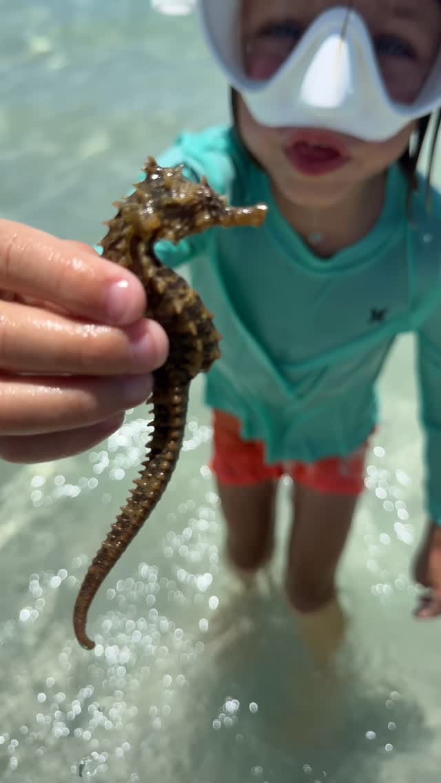 Post 10 by Dusty Stanczyk on Instagram (video)