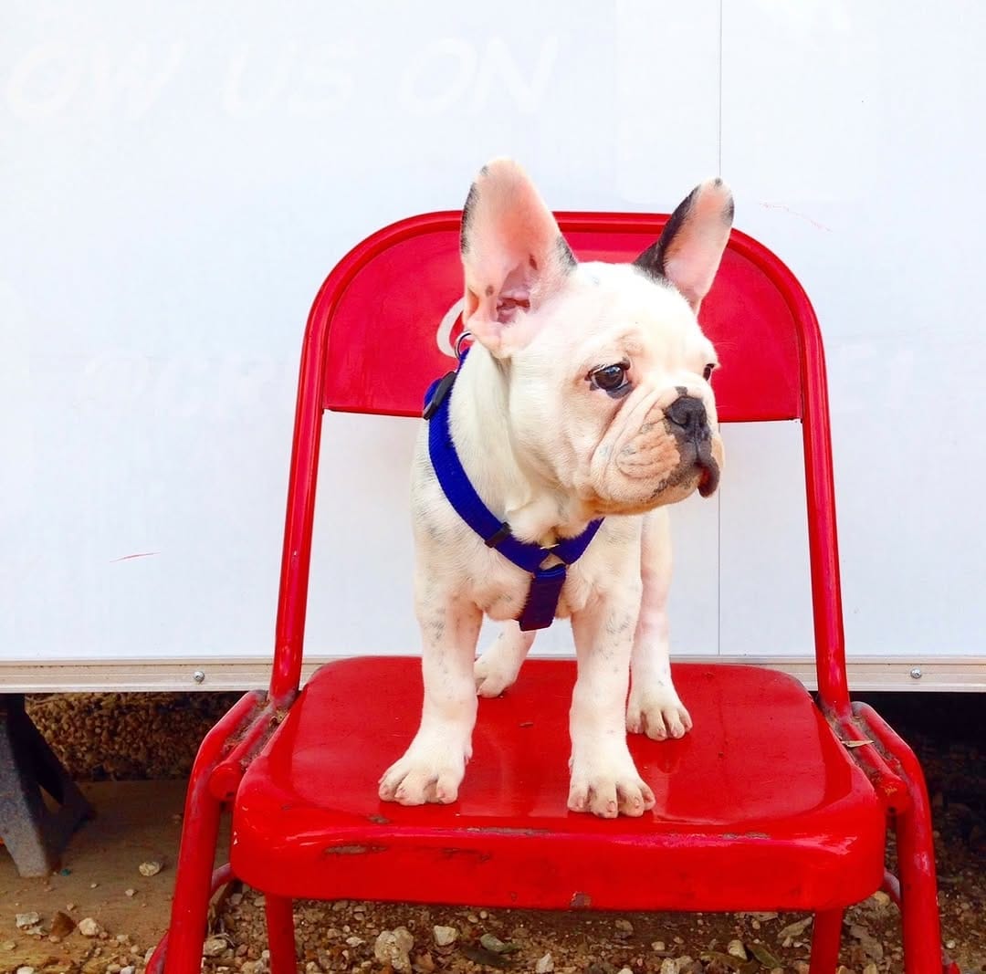 Post 4 by gerardo gandy on Instagram (carousel)