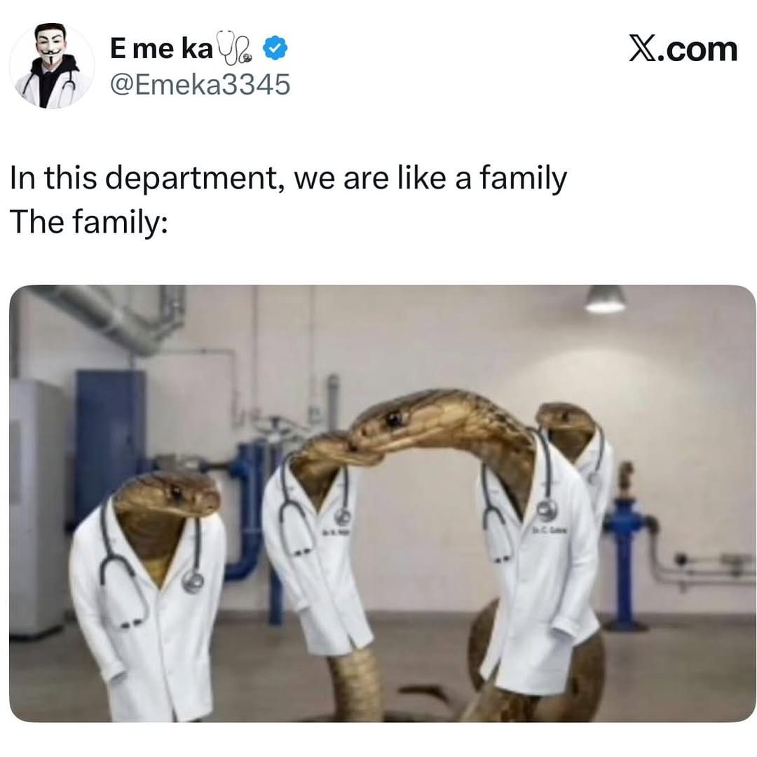 Post 1 by Medical Doctors on Instagram (image)