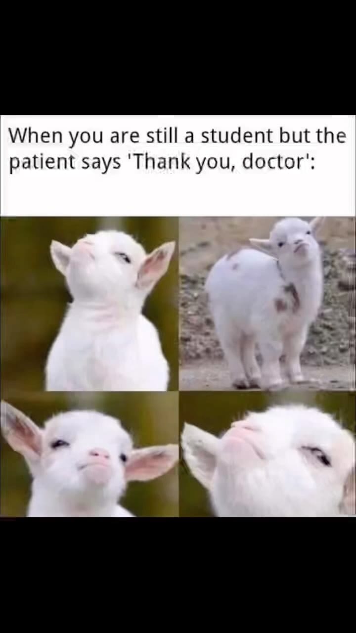 Post 10 by Medical Doctors on Instagram (video)