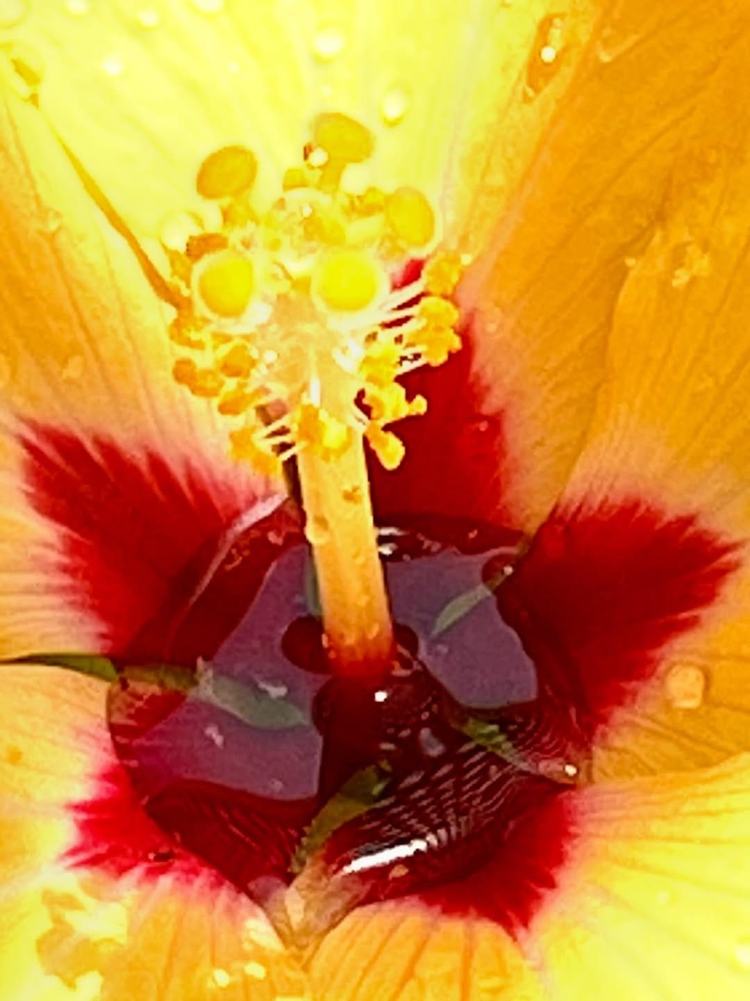 Post 5 by Domingo Rosillo on Instagram (image)