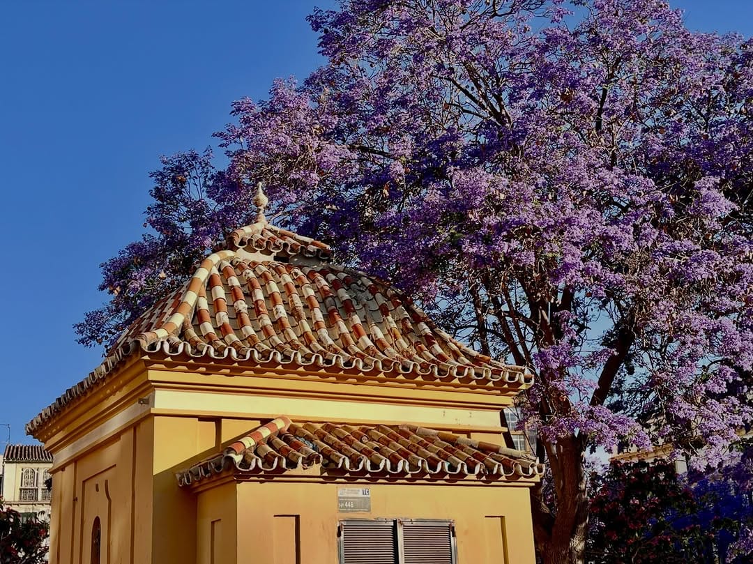 Post 4 by Domingo Rosillo on Instagram (carousel)
