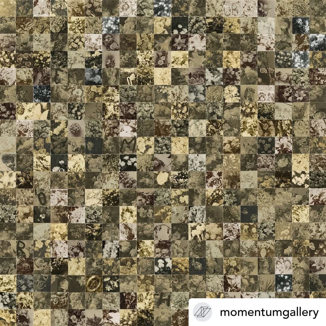 Post 8 by Greg Sand on Instagram (image)
