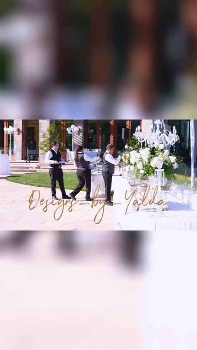 Post 4 by Yalda Kamyab on Instagram (video)