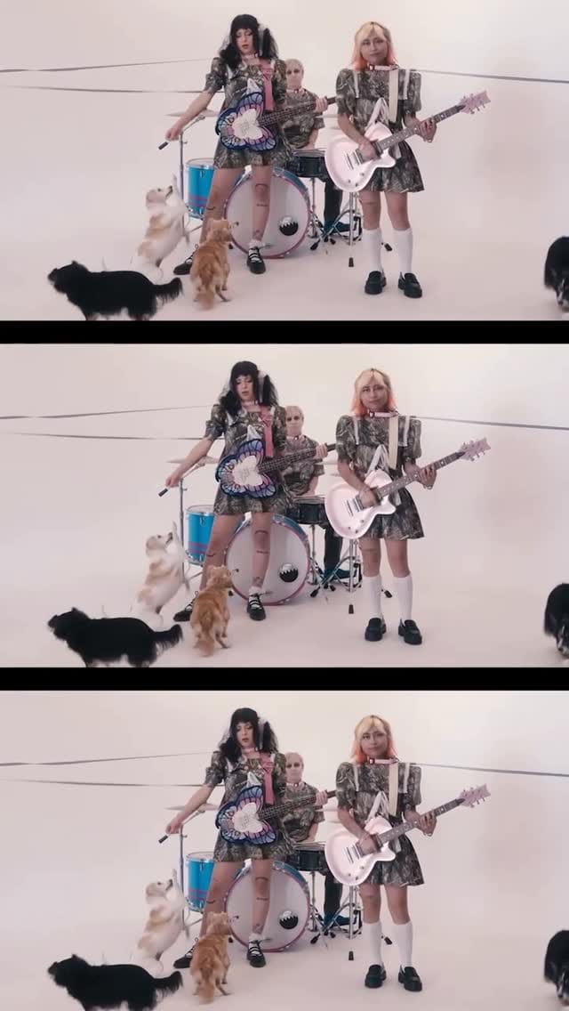 Post 10 by ♥ suzie true ♥ on Instagram (video)
