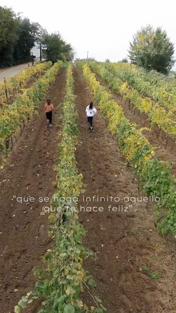 Post 9 by Mar Gausachs - Estudio de decoración on Instagram (video)