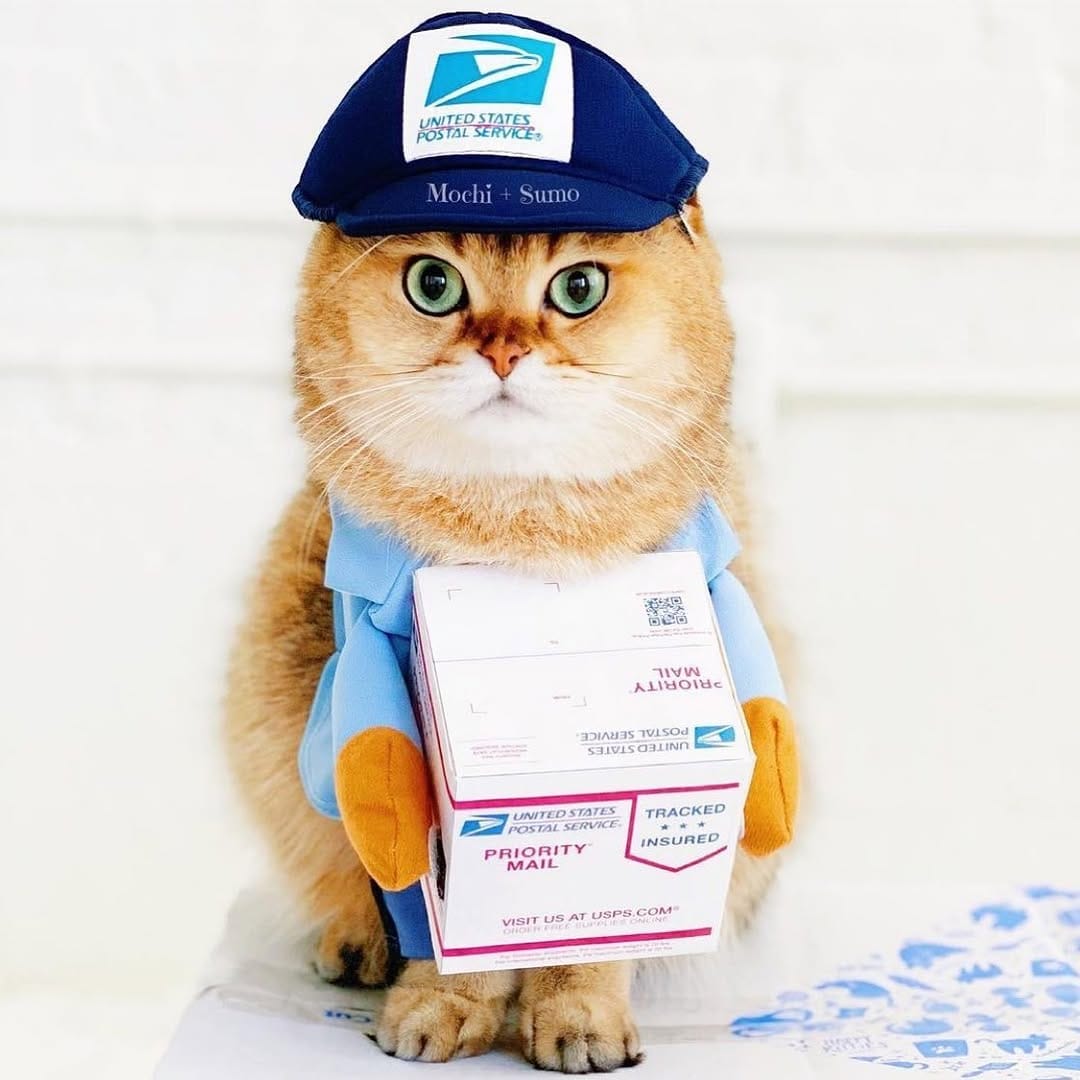 Post 7 by Restoretheusps on Instagram (image)