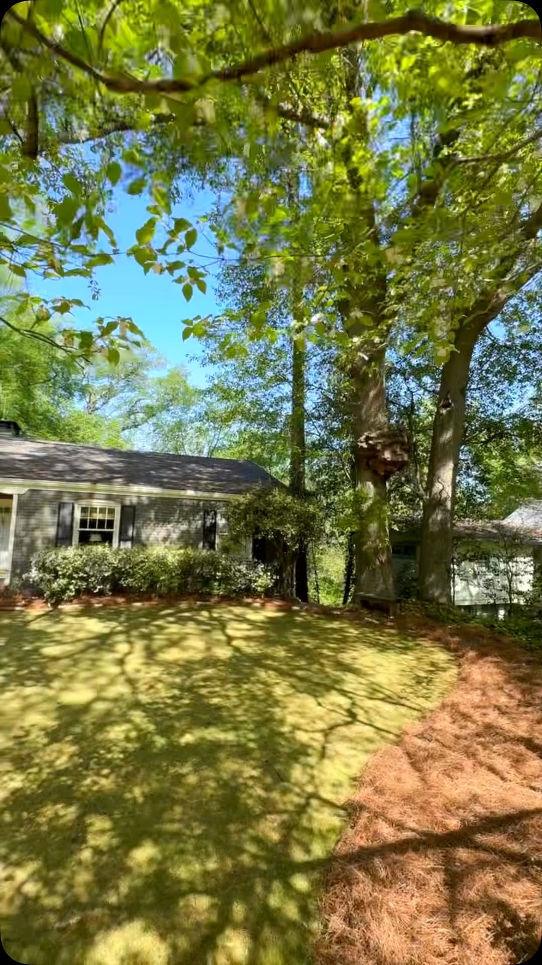 Post 6 by Janie Harper Design on Instagram (video)