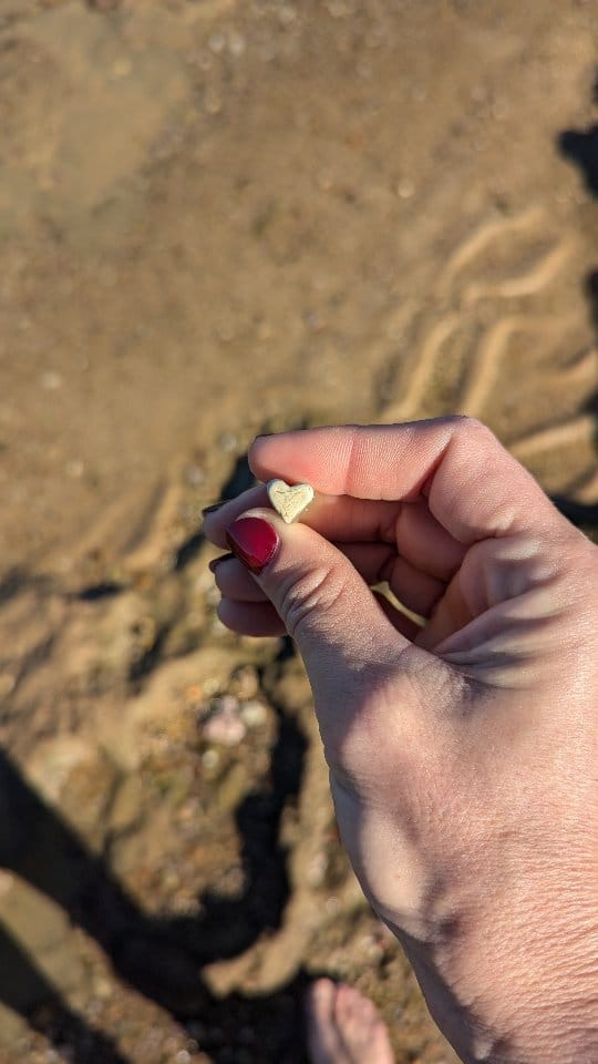 Post 6 by Caleta Olympia y Bolonio Tulio on Instagram (video)