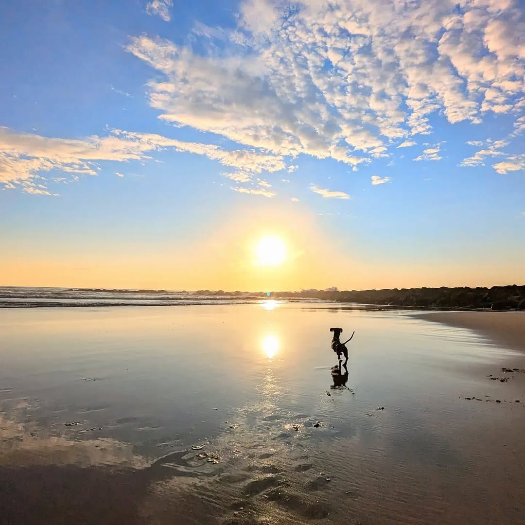 Post 9 by Caleta Olympia y Bolonio Tulio on Instagram (image)