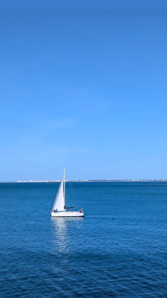 Post 8 by Caleta Olympia y Bolonio Tulio on Instagram (video)