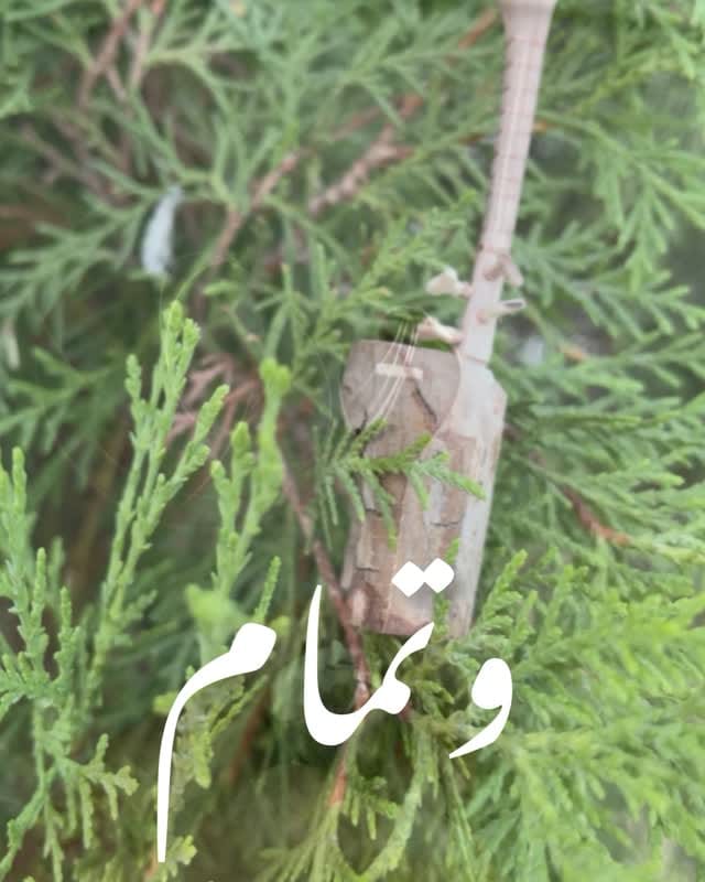 Post 2 by r@min on Instagram (video)
