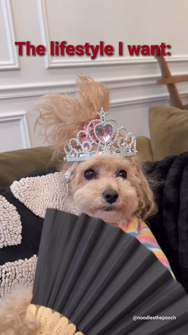 Post 5 by Glamour Decorating on Instagram (video)