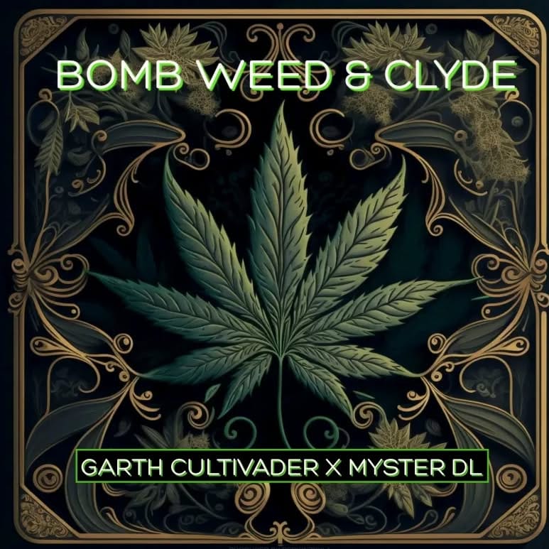 Post 8 by marijuana music on Instagram (image)