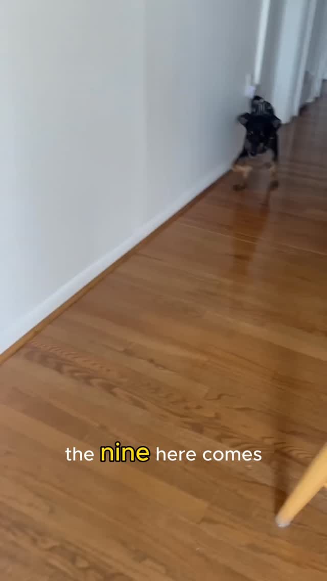 Post 3 by KJ From the Mo on Instagram (video)