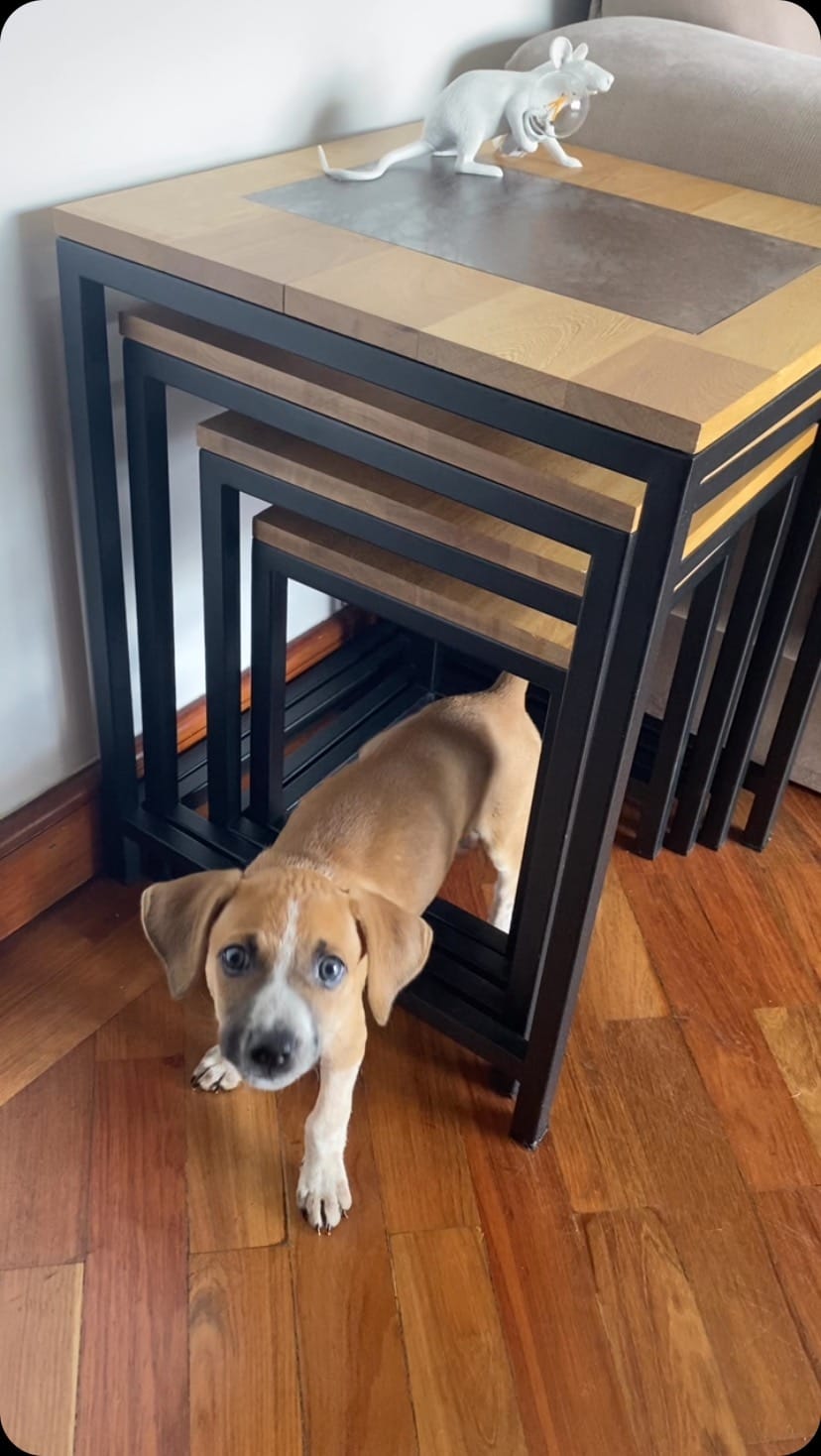 Post 8 by Tavolini Furniture | Lifestyle home furniture | Wood & metal on Instagram (video)