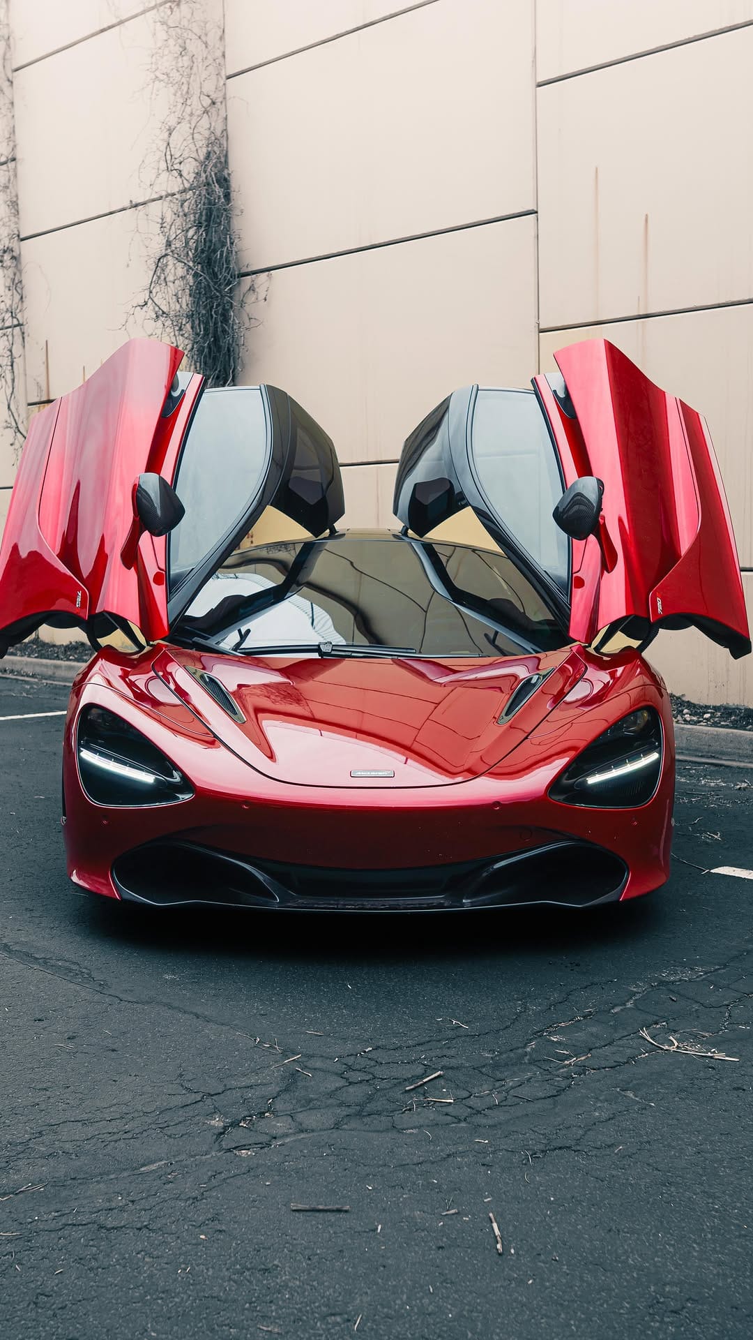 Post 8 by DENVER EXOTIC RENTAL CARS on Instagram (video)