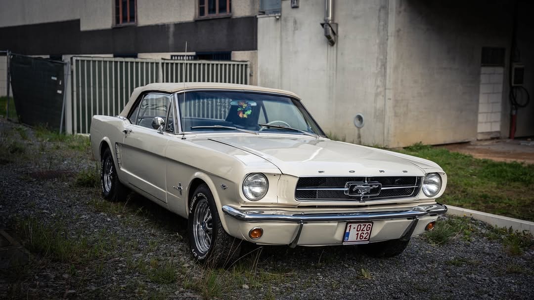 Post 8 by Mustang and Co on Instagram (carousel)