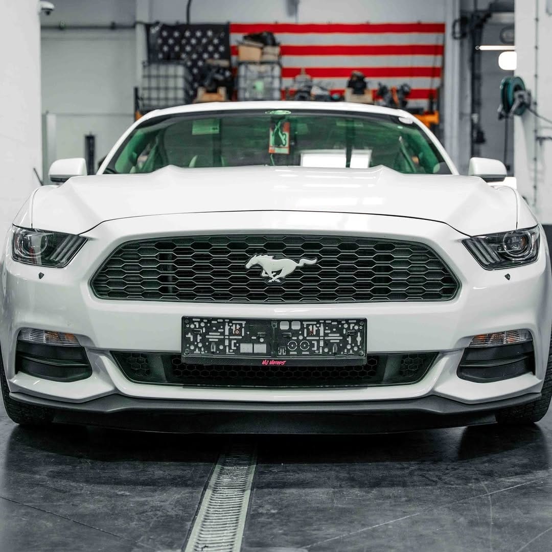 Post 10 by Mustang and Co on Instagram (carousel)
