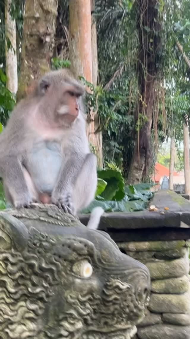 Post 1 by Dre on Instagram (video)