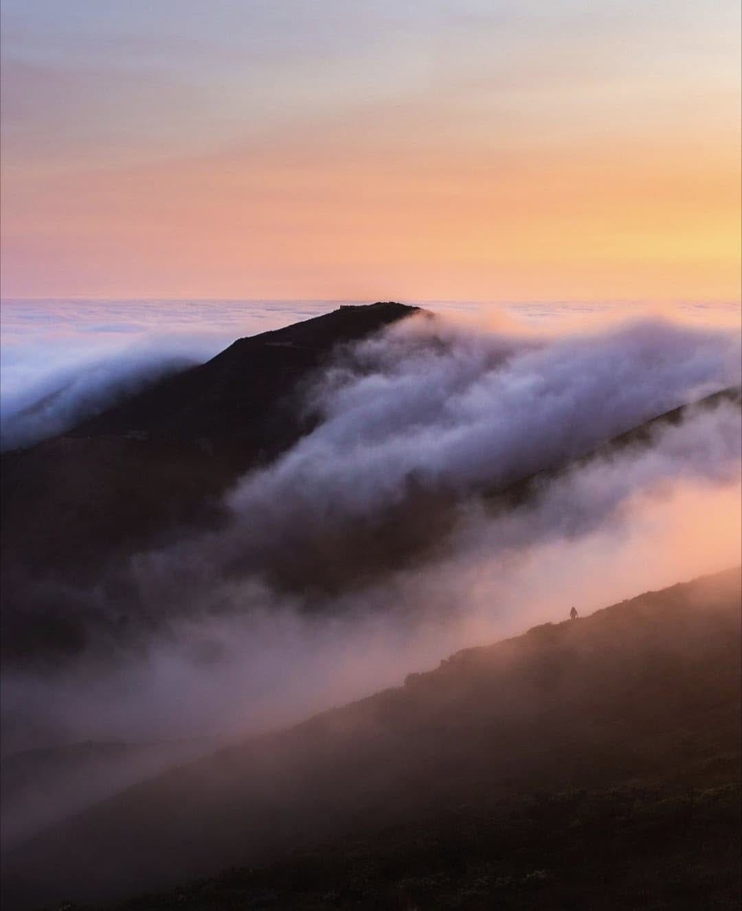 Post 10 by My Home San Francisco on Instagram (image)